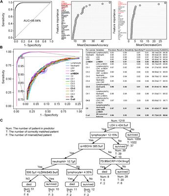 Reliable and Interpretable Mortality Prediction With Strong Foresight in COVID-19 Patients: An International Study From China and Germany